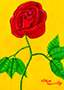 Sunshine Rose for Robyn