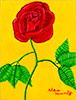 Sunshine Rose for Robyn